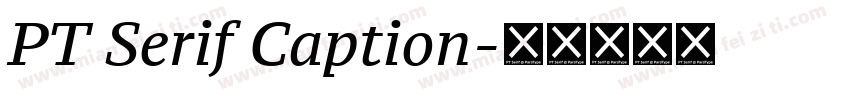 PT Serif Caption字体转换